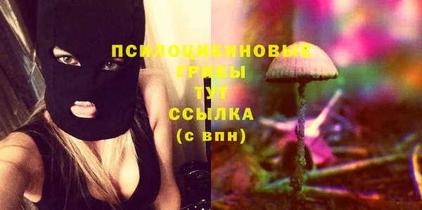 тгк Балахна
