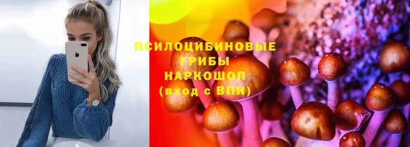 гидра   Волчанск  Галлюциногенные грибы Cubensis 