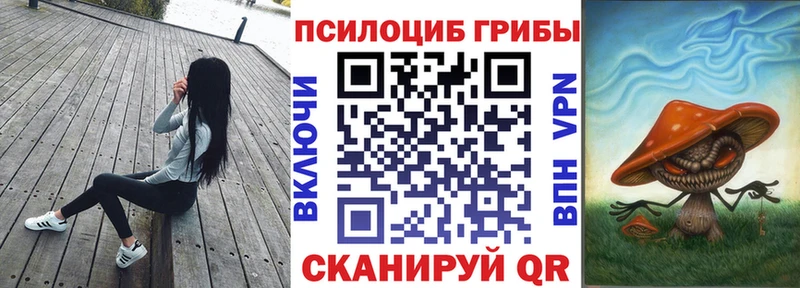 Галлюциногенные грибы мицелий  Волчанск 